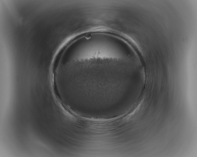 X0000115641414200911171413