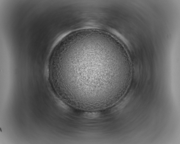 X0000115641415200911171413