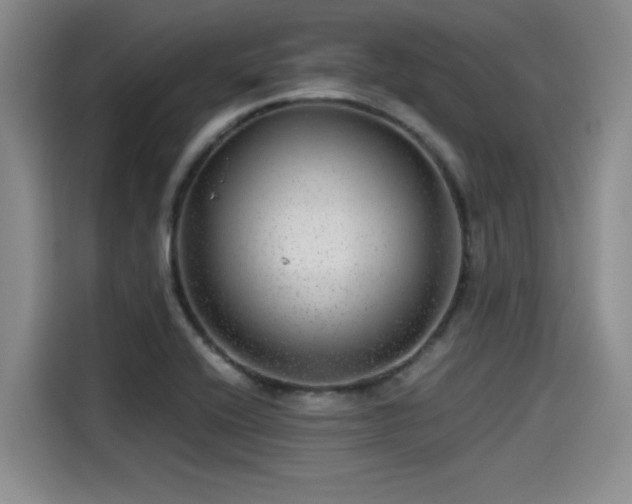 X0000115641416200911171413