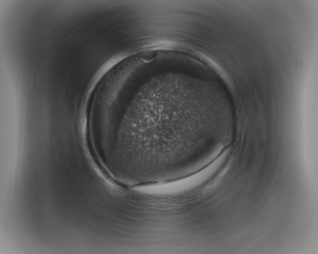 X0000115641418200911171413