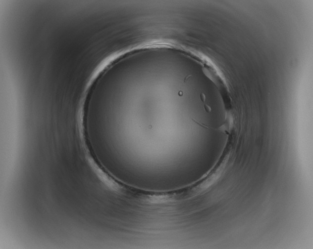 X0000115641422200911171413