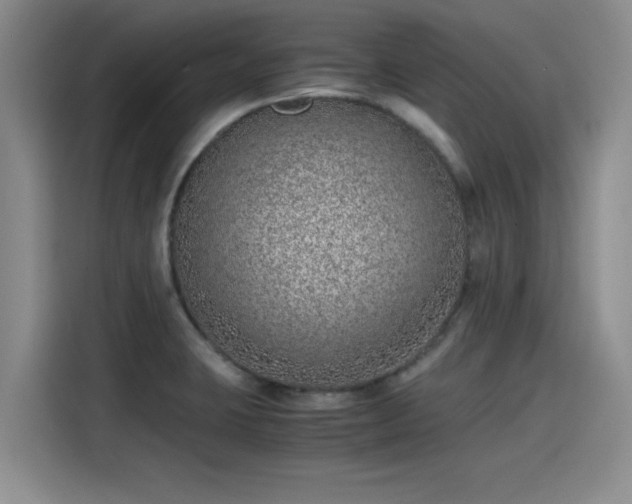 X0000115641423200911171413