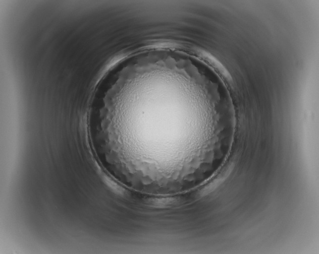 X0000115641425200911171413