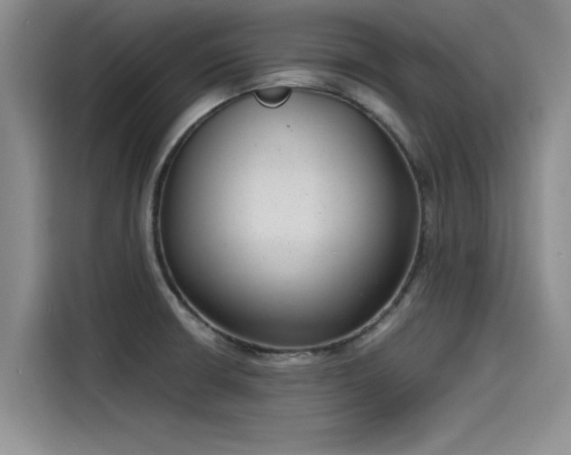 X0000115641426200911171413