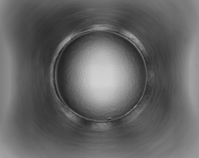 X0000115641427200911171413