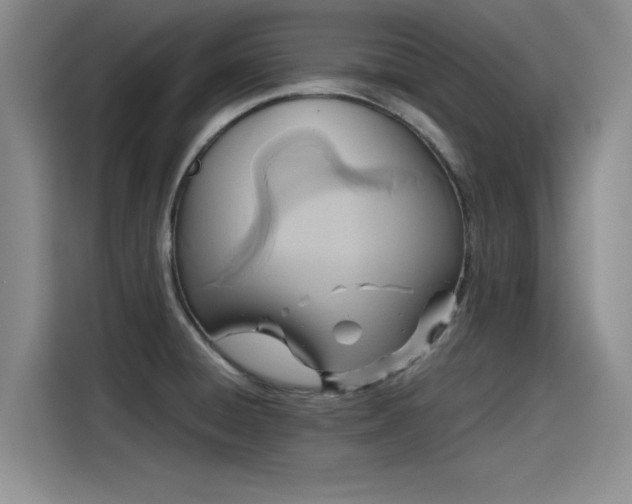X0000115641428200911171413