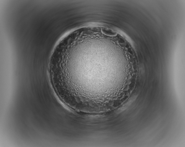 X0000115641429200911171413