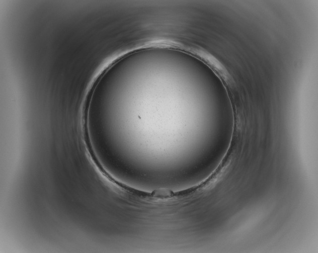 X0000115641430200911171413