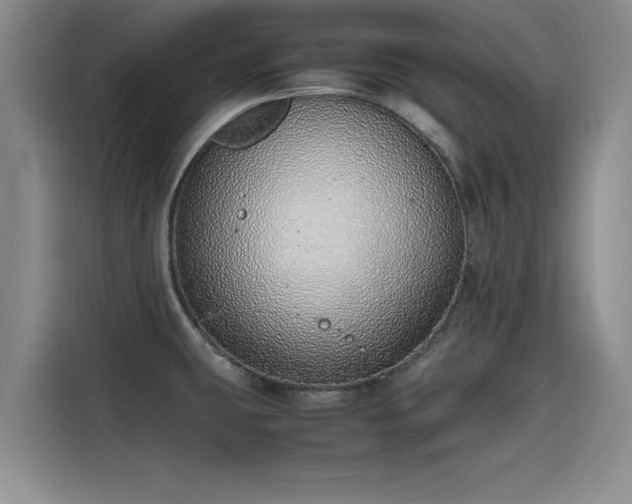 X0000115641431200911171413