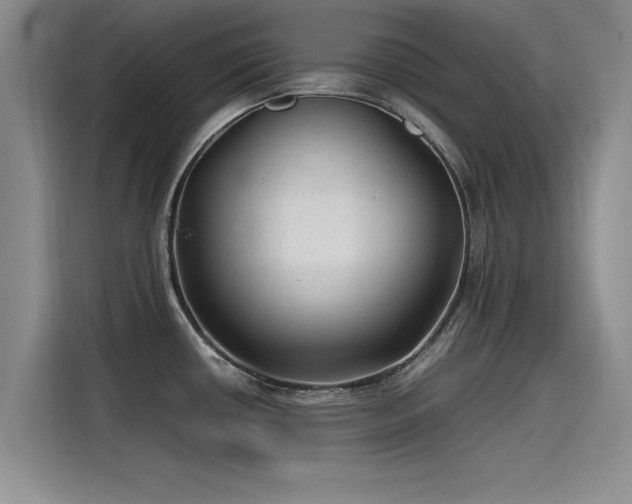 X0000115641434200911171413