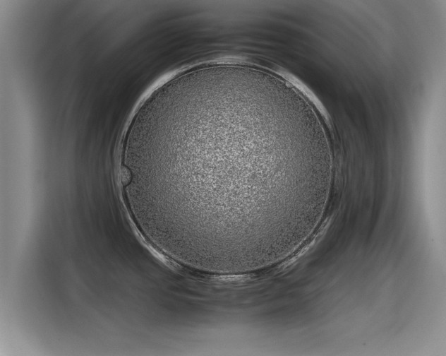 X0000115641437200911171413