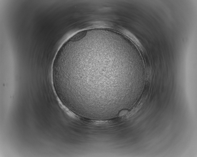 X0000115641439200911171413