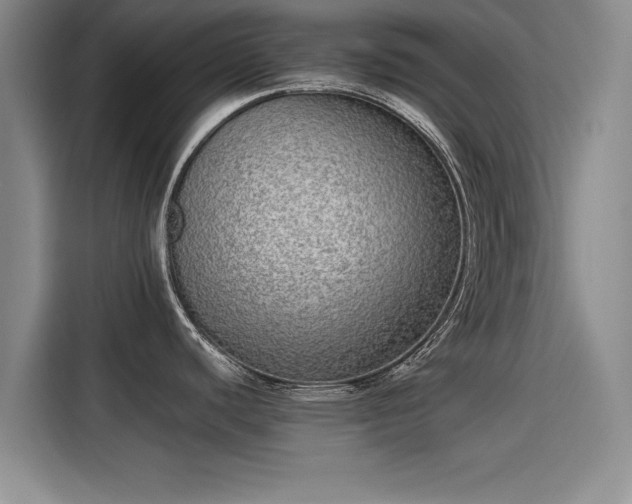 X0000115641440200911171413