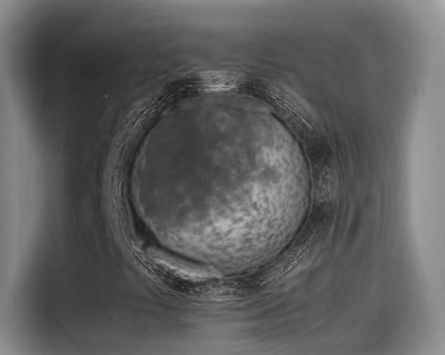 X0000115641441200911171413