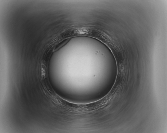X0000115641442200911171413