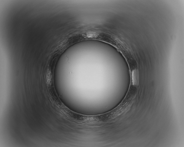 X0000115641443200911171413