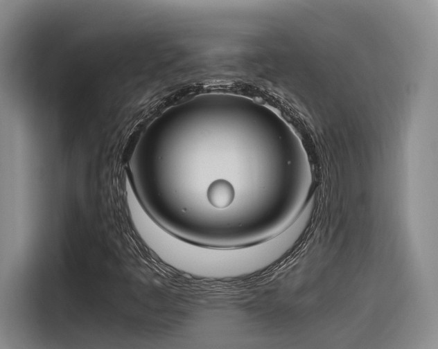 X0000115641445200911171413