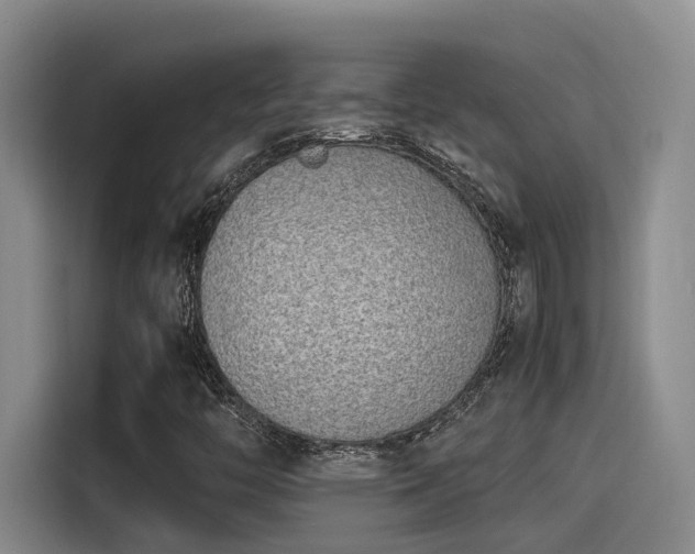X0000115641446200911171413