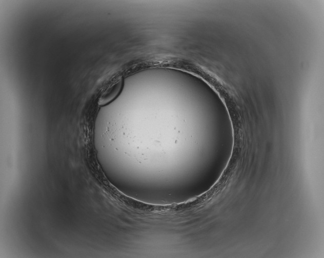 X0000115641447200911171413