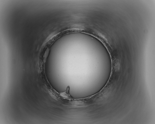 X0000115641448200911171413