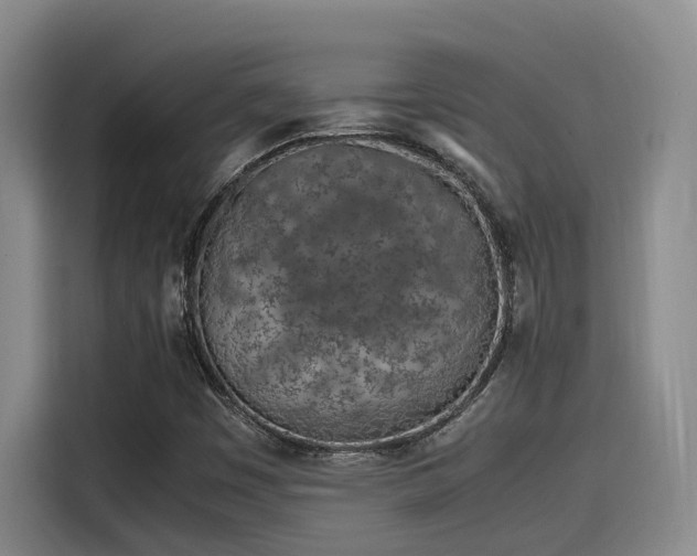 X0000115641449200911171412