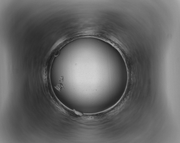 X0000115641450200911171412