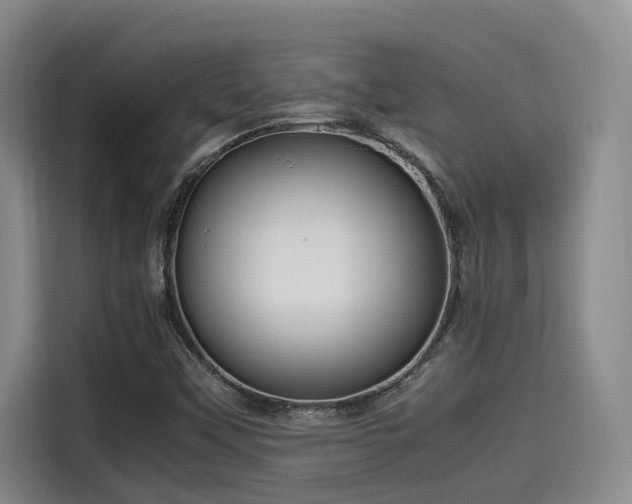 X0000115641451200911171412
