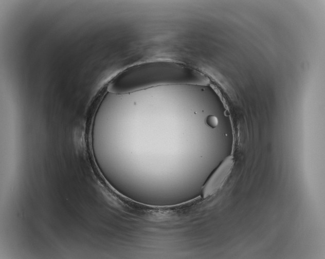 X0000115641452200911171412