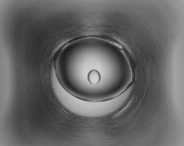 X0000115641453200911171412
