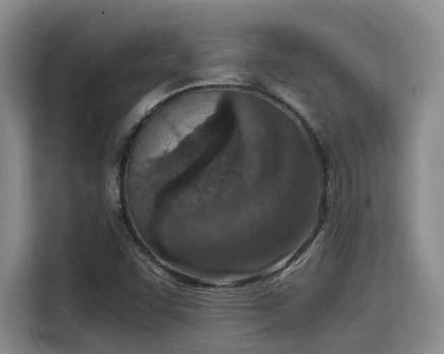 X0000115641455200911171412
