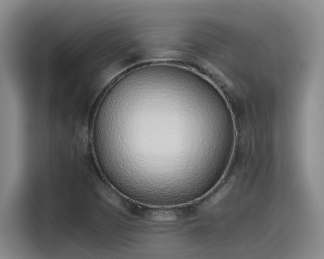 X0000115641457200911171412