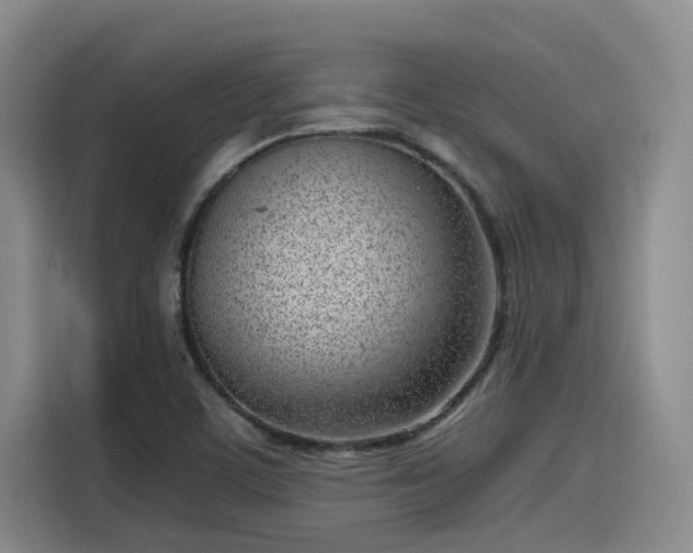 X0000115641459200911171412