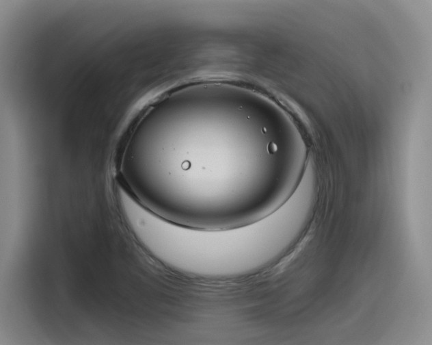 X0000115641461200911171412