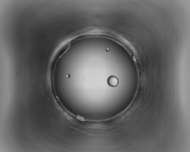 X0000115641464200911171412