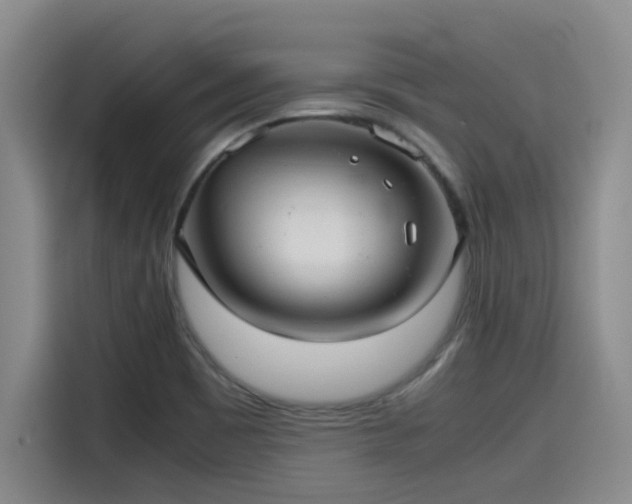 X0000115641465200911171412