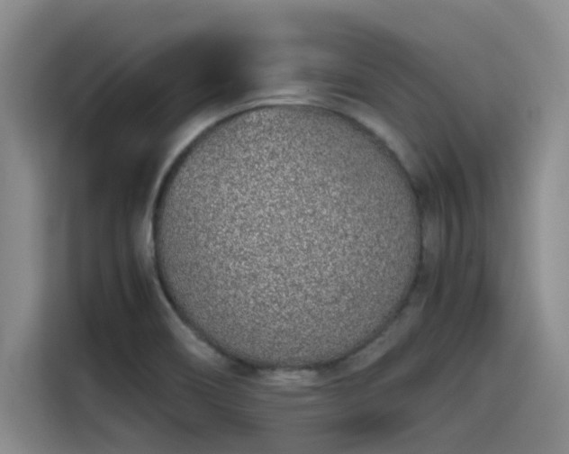X0000115641466200911171412