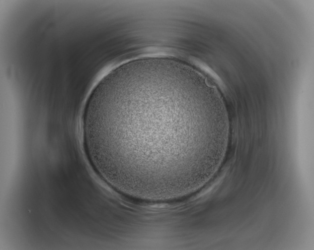 X0000115641467200911171412