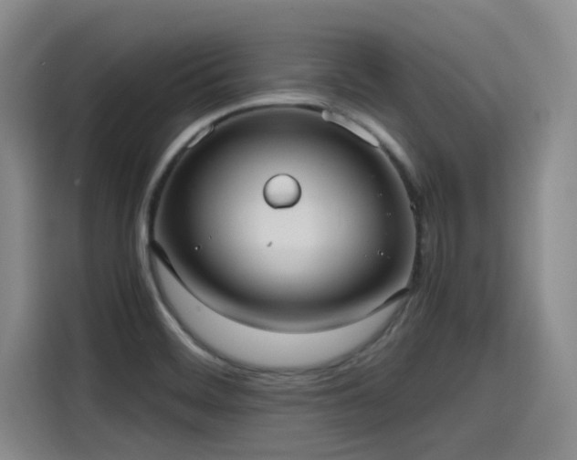X0000115641468200911171412