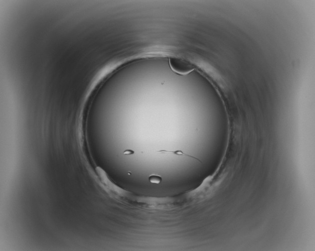 X0000115641469200911171412