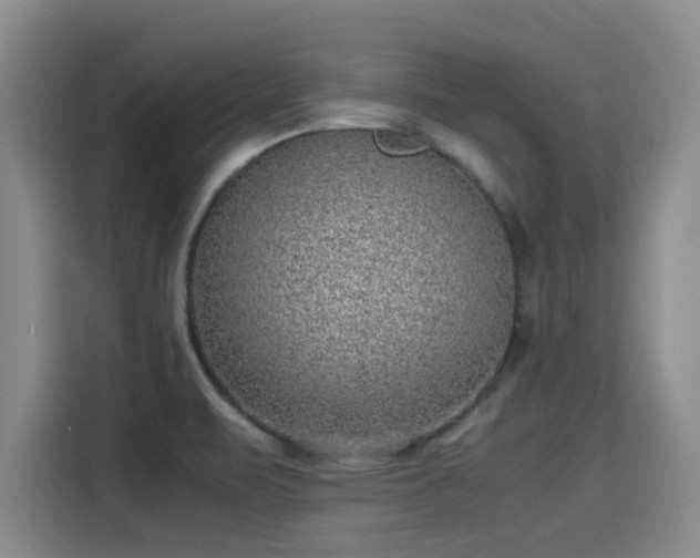 X0000115641471200911171412