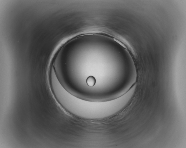 X0000115641472200911171412