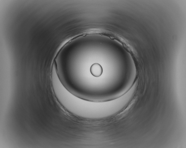 X0000115641473200911171412