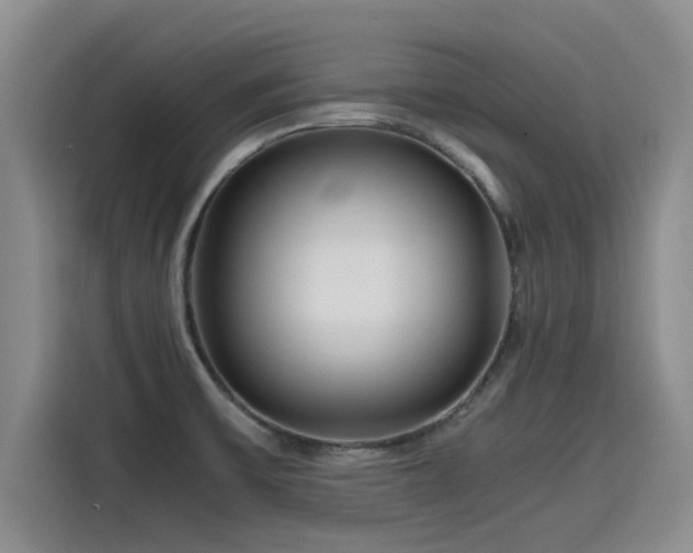 X0000115641475200911171412