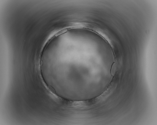 X0000115641477200911171412