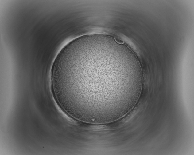 X0000115641479200911171412