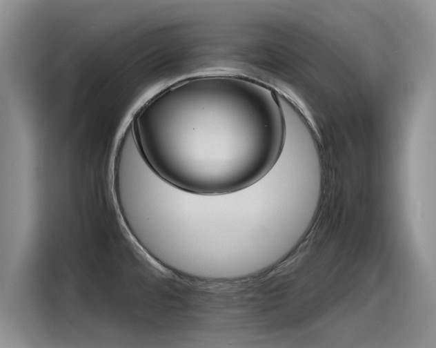 X0000115641480200911171412