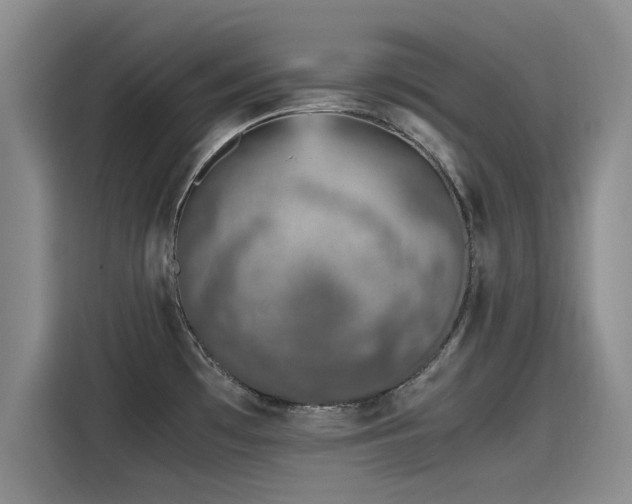 X0000115641481200911171412