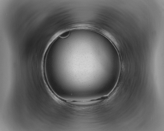 X0000115641482200911171412
