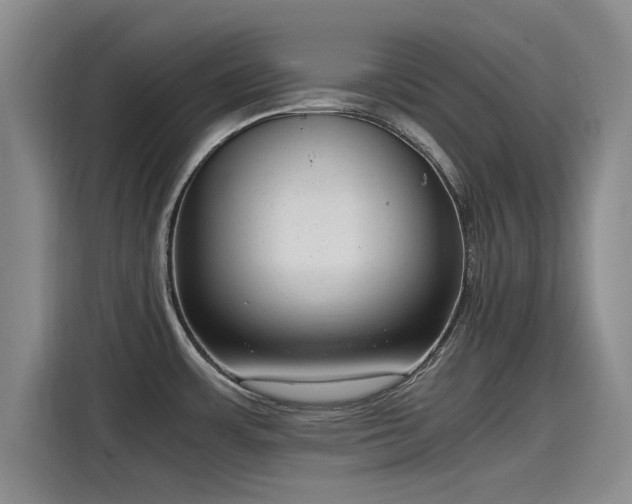 X0000115641483200911171412