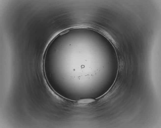 X0000115641484200911171412